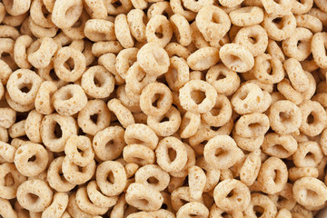 Organic  Whole Wheat Cereal