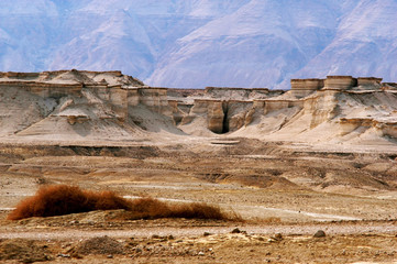 The Judean Desert Israel
