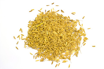 paddy jasmine rice on white background