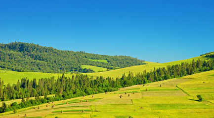 green fields on hills