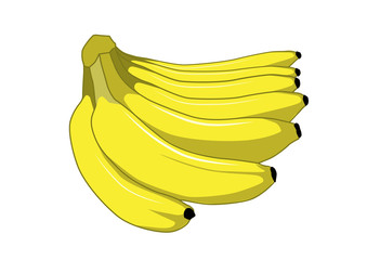 Banana vector