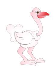 Ostrich Vector