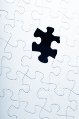 jigsaw puzzle