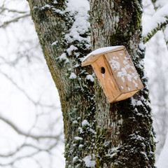 Bird house in the winter, hanging on the tree