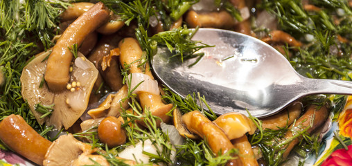 Fototapeta na wymiar Salad from mushrooms and greens