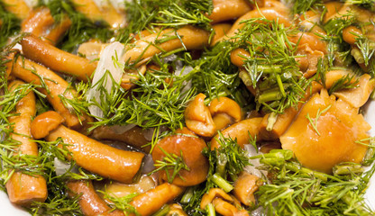 Salad from mushrooms and greens