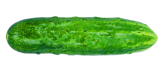 appetite green cucumber