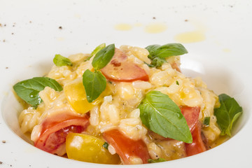 photo of delicious risotto dish with herbs and tomato on white b
