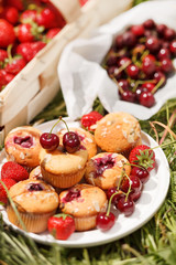 summer muffins