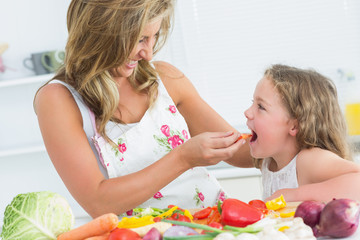 Obraz na płótnie Canvas Matka karmienia jej córkę