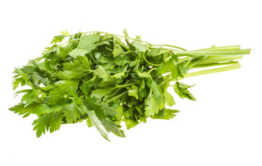 a bunch of parsley on a white background
