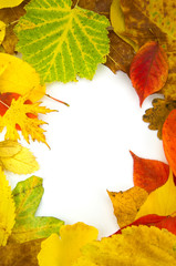 Herbstlaub