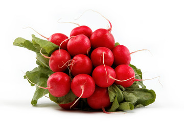 Healthy food. Bunch of fresh radishes on a white background.