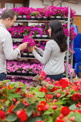 Couple picking flower from shelf