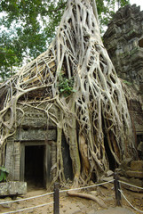 Ruins of ancient temple. Angkor wat, Cambodia
