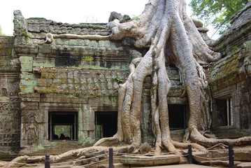 Fototapeta na wymiar Ruiny starożytnej świątyni. Angkor Wat, Kambodża