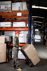Foreman Pushing Handtruck With Cardboard Boxes