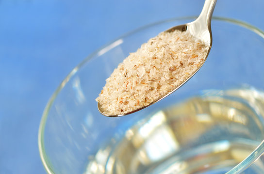 Psyllium Seed