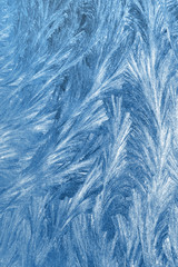 Blue frozen window texture (background)