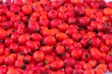 Dog Rose Fruits - DSC_9208