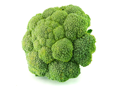 Isolated fresh green broccoli