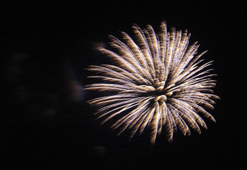 Beautiful white & blue fireworks at night