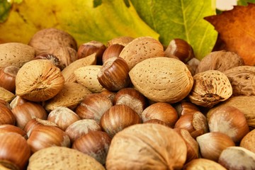 Nuts and autumn leaves