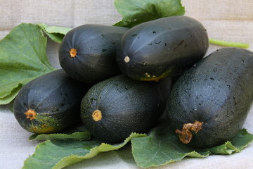 Fresh vegetable marrows