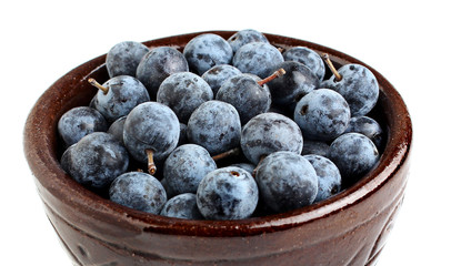 Blackthorn on the plate isoleted on a white background