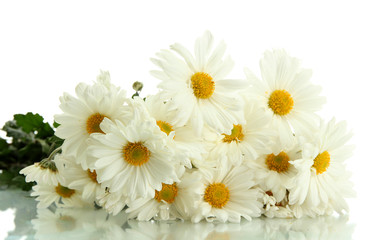 bouquet of beautiful daisies flowers, isolated on white
