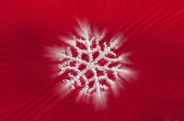 Snowflake - Greeting Card 2013 on a red blurred background
