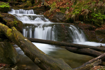 Beautiful forest stream with cascades.
