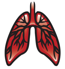 Lungs