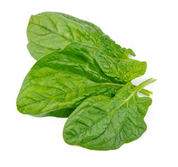 Spinach