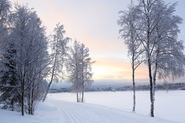 Winter landscape in Finland