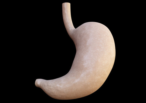 Magen Anatomie schwarzer Hintergrund