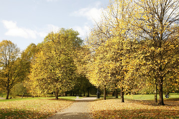 Naklejka premium London Autumn Colors