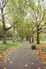 London Autumn Colors