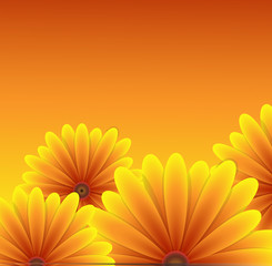 Floral Background