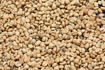 Fresh coffee beans (manual focus)