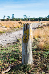 Weathered wooden pole in an autumnal nature landscape