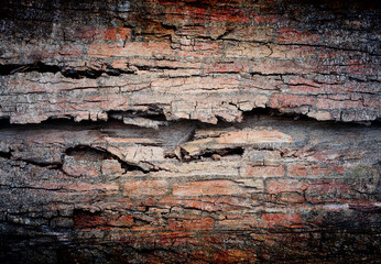 abstract the old grunge wall for background