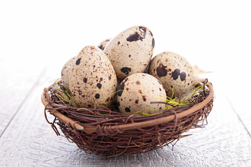 quail egg