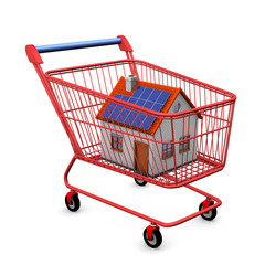 Shopping Cart House
