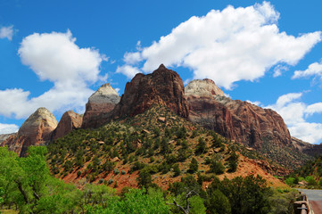 Zion National Park IX