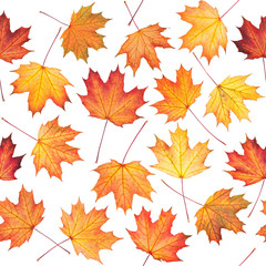 Seamless texture with maple leaves