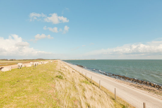 Dutch wide landscape with dike and blue cloudy sky.