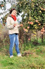 Frau mit Apfelbaum