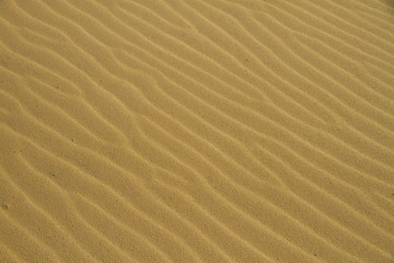 golden sand texture