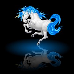 unicorno © Piumadaquila.it